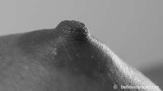 &nbsp;